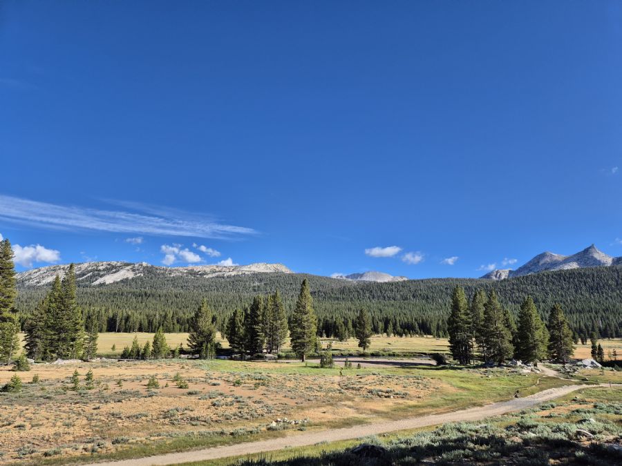 פארק יוסמיטי